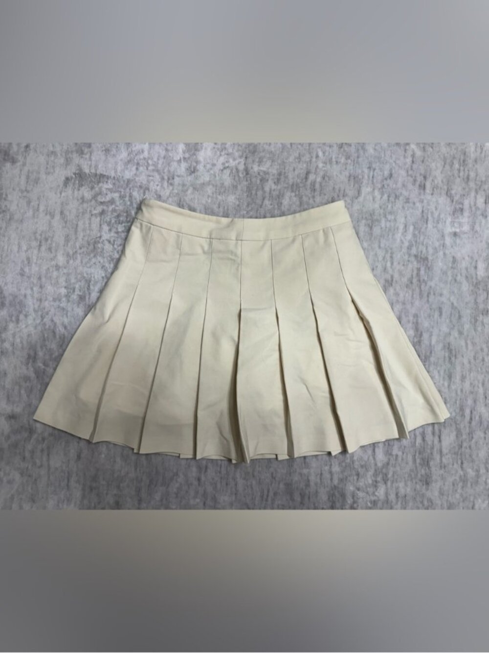 Aritzia Sunday Best Pleated Mini Skirt